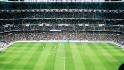 “重磅政策！我国揭晓外资稳定措施二十项，全面解读→”