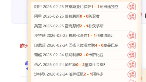 中超第29轮：申花与深圳新鹏城2-2握手言和，精彩对决瞬间回顾