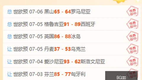 瑞超11场全胜，独家解析：赛季总览与胜负指南